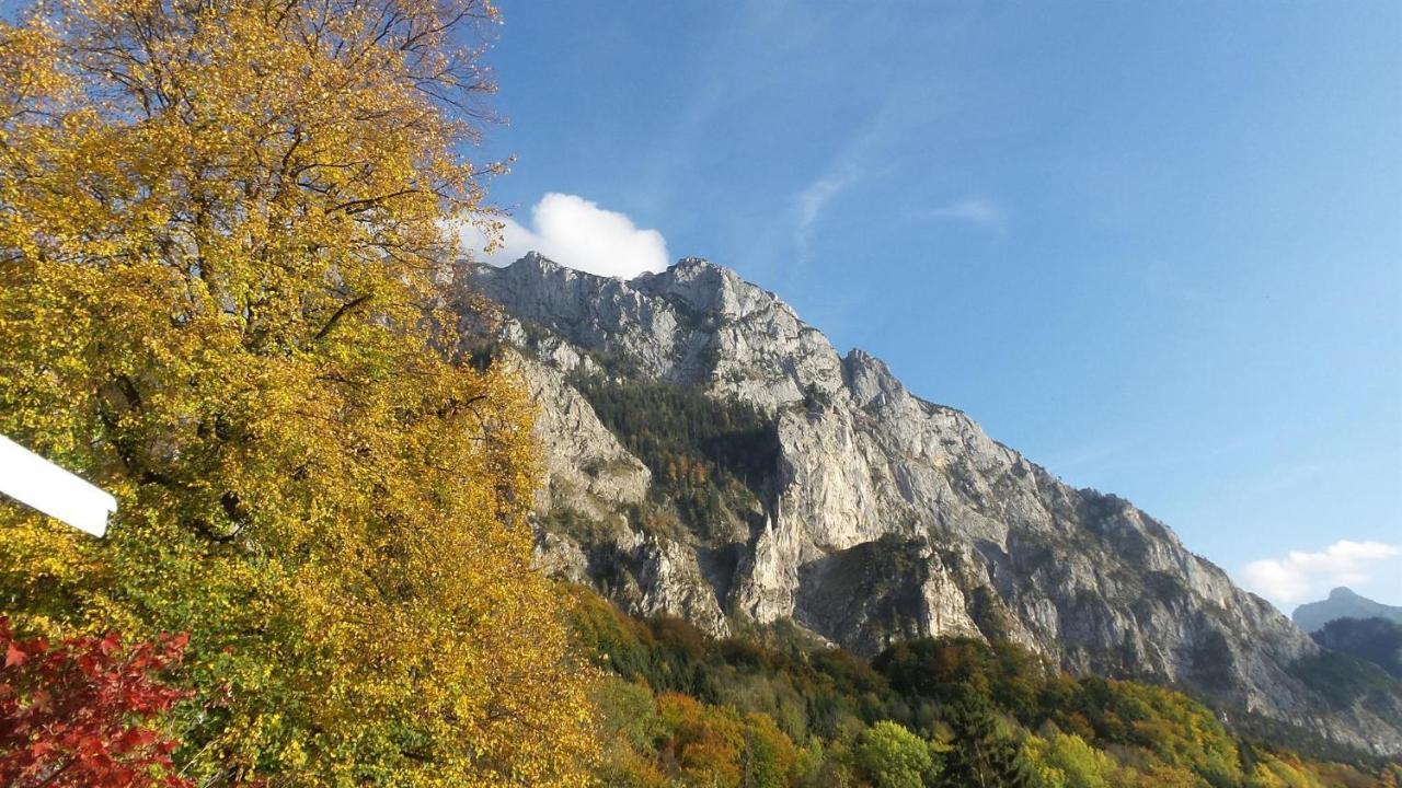 Wolfis Traunseeblick - Mit Kostenlosem Parkplatz Direkt An Der Unterkunft グムンデン エクステリア 写真